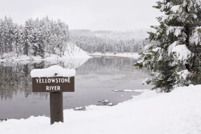 Framed Print : SP022362. Yellowstone River, Yellowstone National Park Framed Print : SP022362. Yellowstone River, Yellowstone National Park