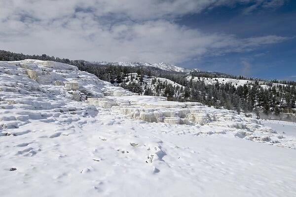 SP022437. Mammoth Hot Springs under snow, Yellowstone National Park