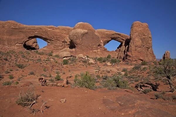 The Spectacles (North and South Windows), Arches National Park, Moab, Utah, United States of America, North America