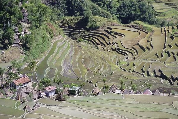Spectacular amphitheatre of rice terraces around the