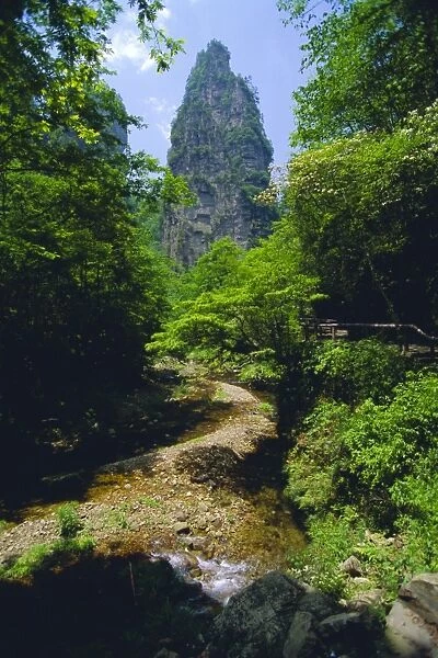 Spectacular limestone outcrops and forested valleys of Zhangjiajie Forest Park in the Wulingyuan Scenic Area, Hunan