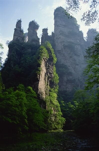 The spectacular limestone outcrops and forested valleys of Zhangjiajie Forest Park