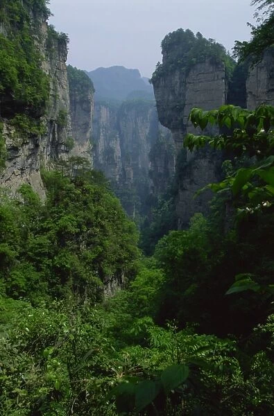 The spectacular limestone outcrops and forested valleys of Zhangjiajie Forest Park