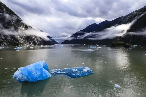 Spectacular Tracy Arm Fjord, brilliant blue icebergs and backlit clearing mist, mountains