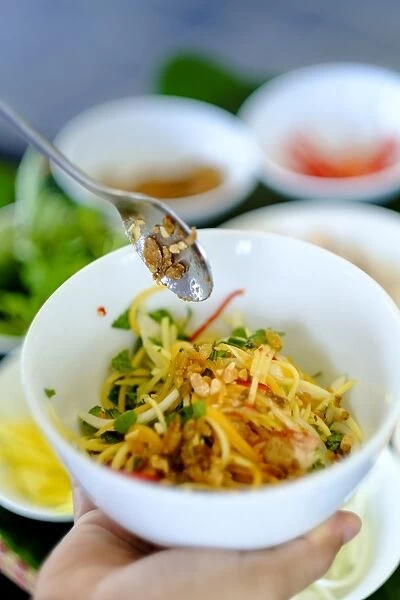 Spicy salad, Vietnamese food, Vietnam, Indochina, Southeast Asia, Asia