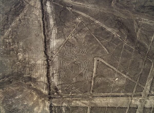 The Spider Geoglyph, aerial view, Nazca, UNESCO World Heritage Site, Ica Region, Peru