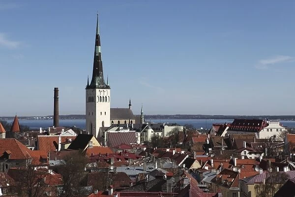 The spire of St Olafs Church (St Olavs Church) (Oleviste kirik) on the city skyline of Tallinn, Estonia, by the Gulf of Finland, Europe