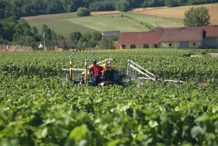 Framed Print : Spraying grape vines, Savigny, Champagne Ardenne, France, Europe Framed Print : Spraying grape vines, Savigny, Champagne Ardenne, France, Europe
