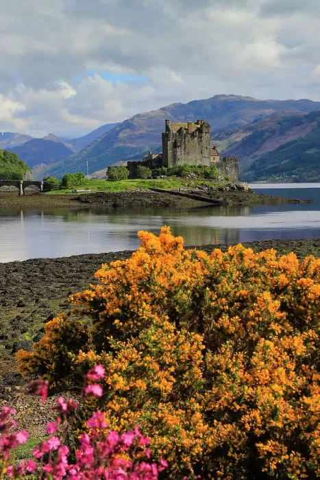 Framed Print : Spring flowers and the 13th century Eilean Donan Castle on a tidal island by the Kyle of Loch Alsh, Eilean Donan, Dornie, Kyle of Loch Alsh, West Highlands, Scotland, United Kingdom, Europe Framed Print : Spring flowers and the 13th century Eilean Donan Castle on a tidal island by the Kyle of Loch Alsh, Eilean Donan, Dornie, Kyle of Loch Alsh, West Highlands, Scotland, United Kingdom, Europe