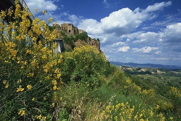 Spring flowers beneath the clifftop village