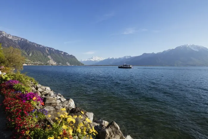 Framed Print : Spring flowers, Lake Geneva (Lac Leman), Montreux, Vaud, Switzerland, Europe Framed Print : Spring flowers, Lake Geneva (Lac Leman), Montreux, Vaud, Switzerland, Europe