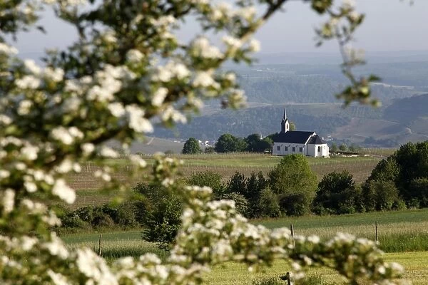 Spring landscape with little church near Nittel, Mosel-Valley, Rhineland-Palatinate
