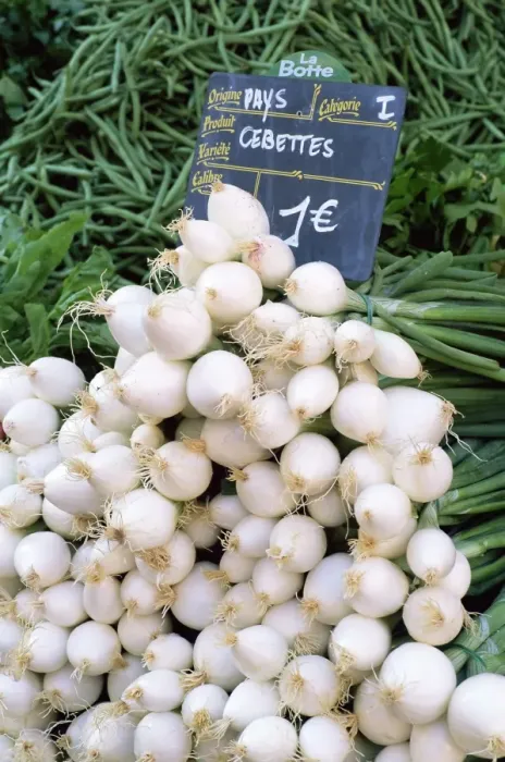 Framed Print : Spring onions (salad onions) for sale on market in the Rue Ste. Claire Framed Print : Spring onions (salad onions) for sale on market in the Rue Ste. Claire