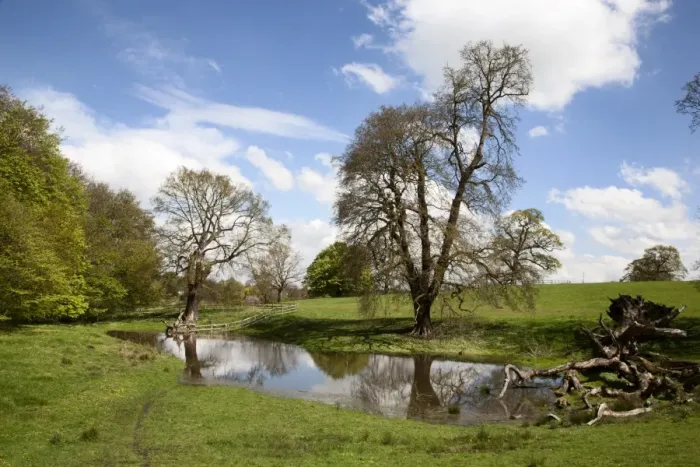 Framed Print : Spring trees and rainwater pond at Jacob Smith Park, Knaresborough, North Yorkshire, England, United Kingdom, Europe Framed Print : Spring trees and rainwater pond at Jacob Smith Park, Knaresborough, North Yorkshire, England, United Kingdom, Europe