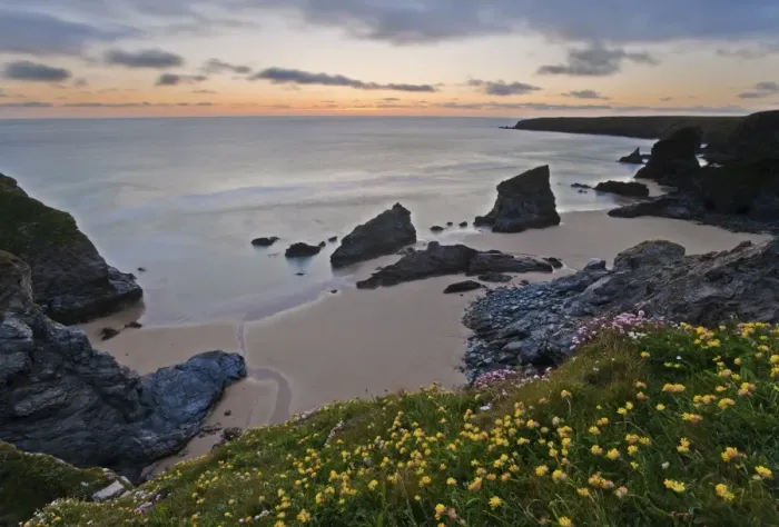 Framed Print : Spring wildflowers on the clifftops overlooking Bedruthan Steps, North Cornwall Framed Print : Spring wildflowers on the clifftops overlooking Bedruthan Steps, North Cornwall