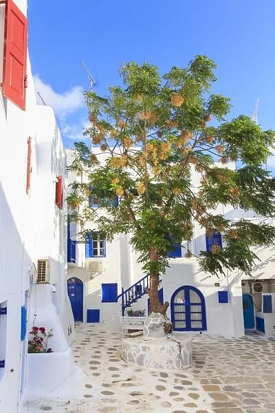Square with blossoming tree, whitewashed buildings, blue sky, Mykonos Town, Mykonos