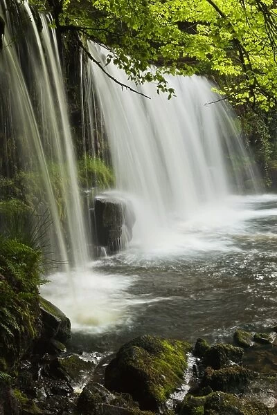 Sqwd Ddwli Waterfall, Brecon Beacons, Wales, United Kingdom, Europe