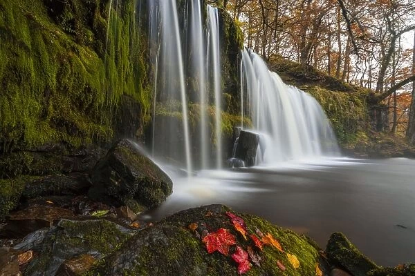 Sqwd Ddwli Waterfall, near Pontneddfechan, Afon Pyrddin, Powys, Brecon Beacons National Park