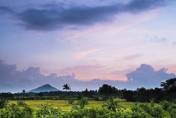 Sri Lanka landscape at sunrise, paddy fields near Dambulla, Central Province, Sri Lanka, Asia