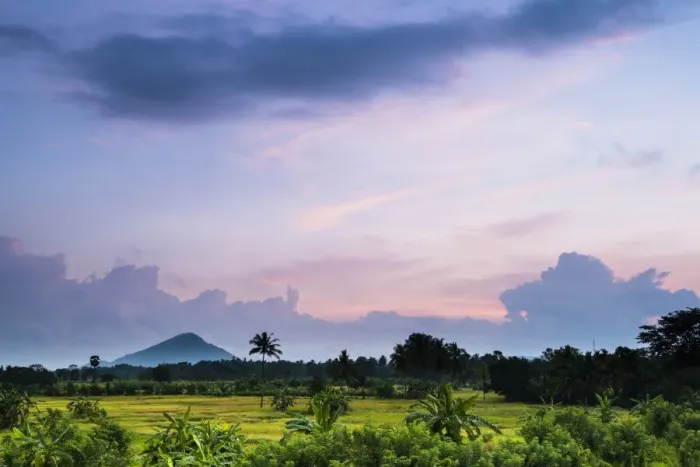 Framed Print : Sri Lanka landscape at sunrise, paddy fields near Dambulla, Central Province, Sri Lanka, Asia Framed Print : Sri Lanka landscape at sunrise, paddy fields near Dambulla, Central Province, Sri Lanka, Asia