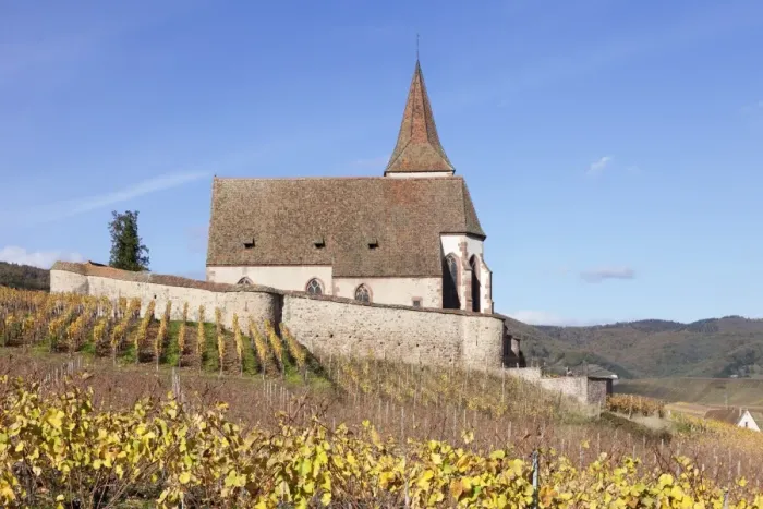 Framed Print : St. Jacques church, vineyards in autumn, Hunawhir, Alsace, France, Europe Framed Print : St. Jacques church, vineyards in autumn, Hunawhir, Alsace, France, Europe