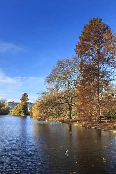 St. Jamess Park, with view across lake to Buckingham Palace, sunny late autumn, Whitehall