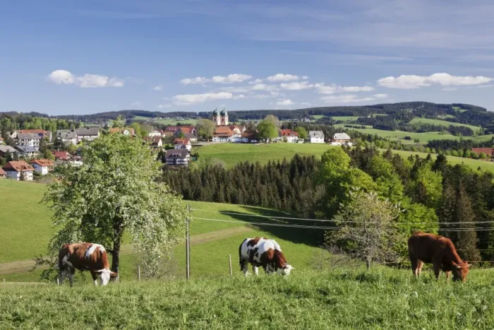 Framed Print : St. Maergen, spring, Glottertal Valley, Black Forest, Baden Wurttemberg, Germany, Europe Framed Print : St. Maergen, spring, Glottertal Valley, Black Forest, Baden Wurttemberg, Germany, Europe