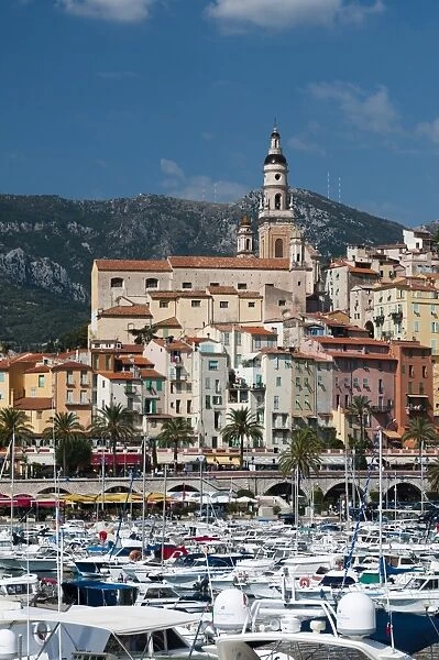 St. Michel church and the old town of Menton, Provence-Alpes-Cote d Azur, French Riviera, France, Mediterranean, Europe