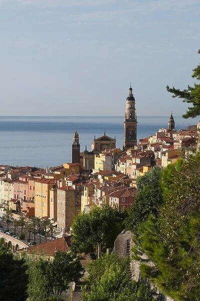 St. Michel church and the old town of Menton, Provence-Alpes-Cote d Azur, French Riviera, France, Mediterranean, Europe