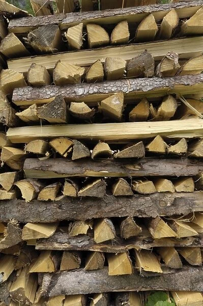 Stack of firewood typical of the Alps, Austria, Europe
