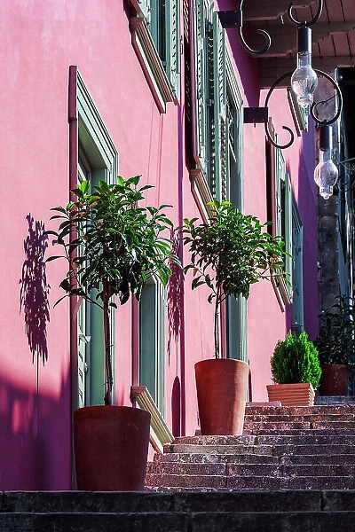 A staircase with large decorative plant pots outside a traditional house with a vivid wall color and wooden shutters in Nafplion, Peloponnese, Greece, Europe