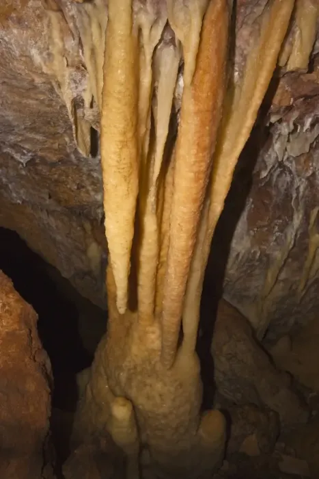 Framed Print : Stalactites creating a column with stalagmite below at Ngilgi Cave, a limestone Karst cave system near Yallingup in the South West, Augusta-Margaret River Shire, Western Australia