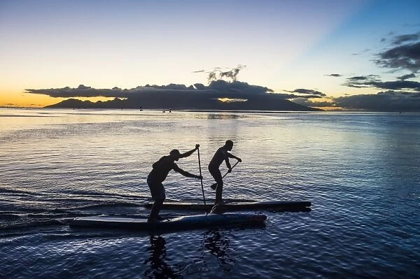 Stand up paddlers working out at sunset with Moorea in the background, Papeete, Tahiti
