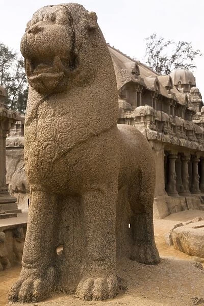 Standing Lion in front of the Draupadi Ratha within the Five Rathas (Panch Rathas) complex at Mahabalipuram (Mamallapuram), UNESCO World Heritage Site, Tamil Nadu