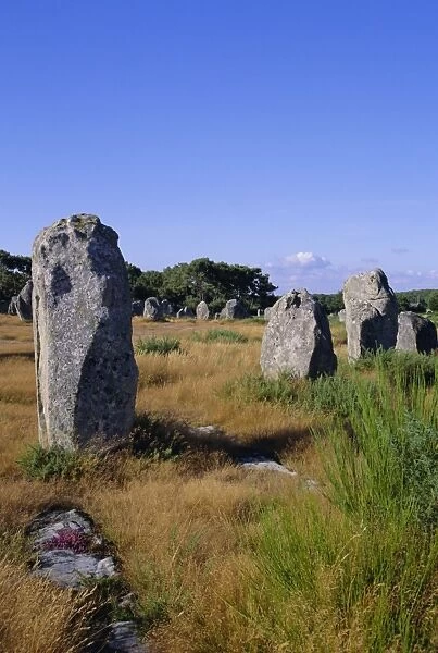 Standing stones, Carnac, Brittany, France, Europe