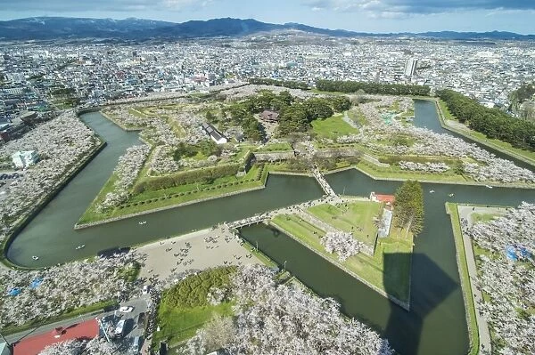 Star shaped Fort Goryokaku in the cherry blossom, Hakodate, Hokkaido, Japan, Asia