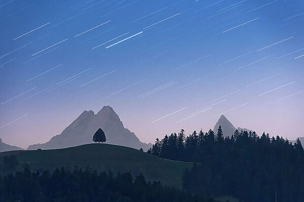 Star trail in the night sky over a lone tree on hill and Schreckhorn peak, Sumiswald, Emmental, Bern canton, Switzerland, Europe