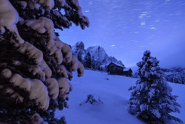 Star trail and snowy trees frame the wooden hut and Sass De Putia, Passo Delle Erbe