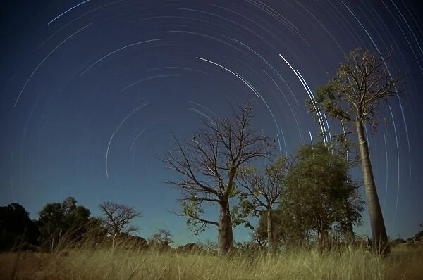 Star trails, Kimberley, Western Australia, Australia, Pacific