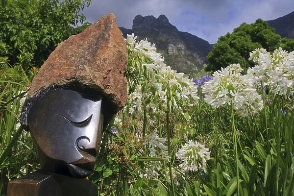 Statue with agapanthus and Table Mountain behind, Kirstenbosch National Botanical Garden, Cape Town, South Africa, Africa