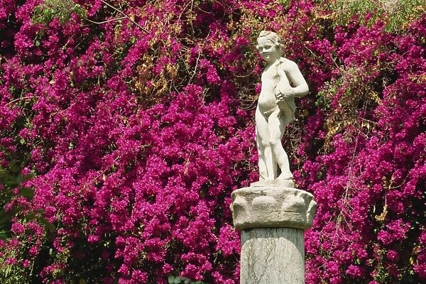 Statue and bougainvillea in the gardens