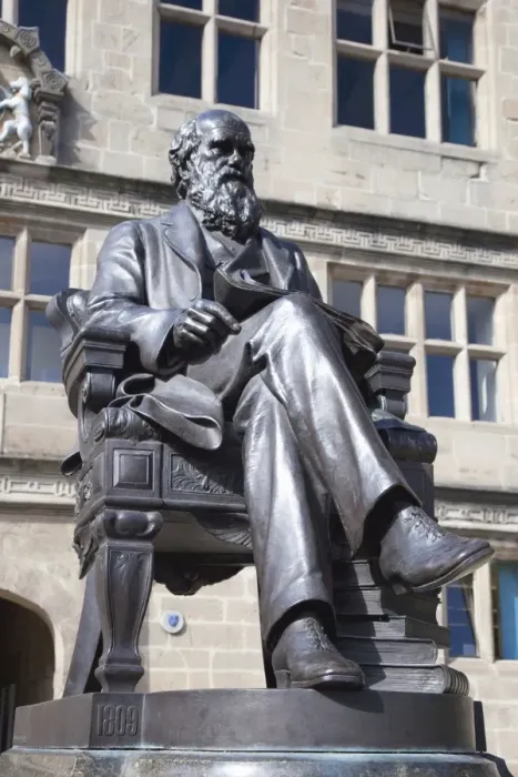 Framed Print : Statue of Charles Darwin outside Public Library, Shrewsbury, Shropshire Framed Print : Statue of Charles Darwin outside Public Library, Shrewsbury, Shropshire