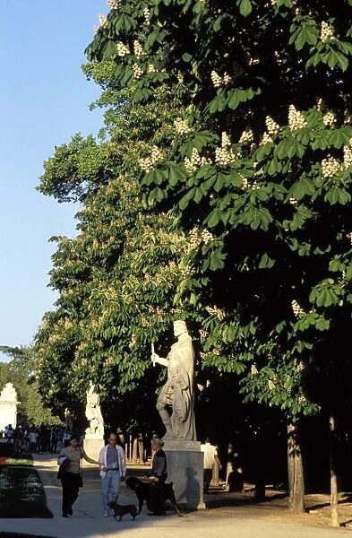 Statue and chestnut trees in the park