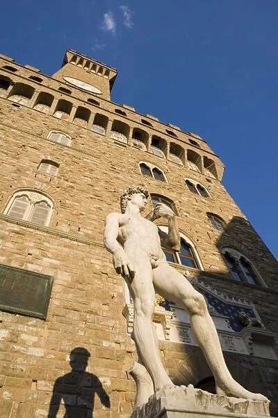 Statue of David, in front of Palazzo Vecchio, Piazza della Signoria, Florence