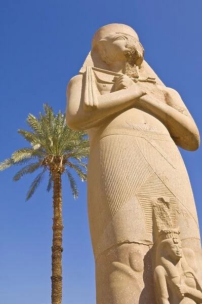 Statue of the great pharaoh Rameses II with small statue of his daughter Bent anta between his legs in the forecourt behind the first Pylon of the great Temple at Karnak, near Luxor, Thebes, UNESCO World Heritage Site, Egypt, North