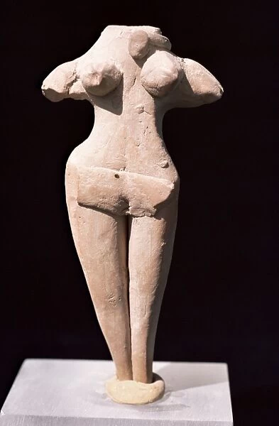 Statue, Harappa museum