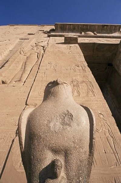 Statue of Horus at entrance to the Horus Temple, Edfu, Egypt, North Africa, Africa