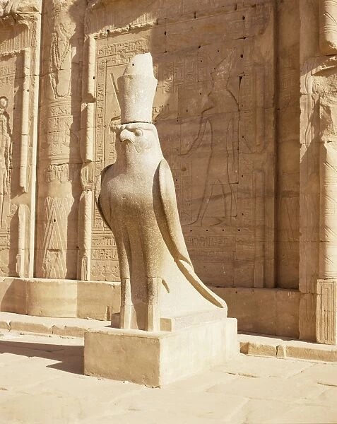 Statue of Horus, Temple of Horus, Edfu, Egypt, North Africa, Africa