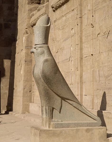 The Statue of Horus (the falcon god), at the Temple of Horus, Edfu, Egypt