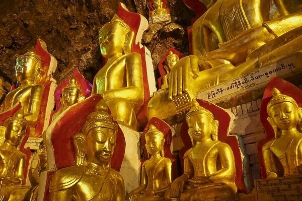 Statues of the Buddha, Shwe Oo Min natural Buddhist cave pagoda, Pindaya, Shan State, Myanmar (Burma), Asia